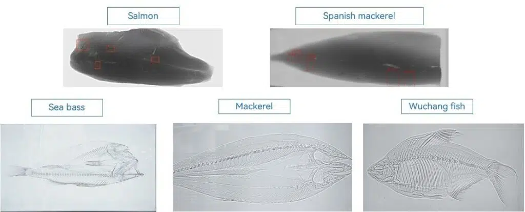 Hỗ trợ hiển thị hình ảnh HD