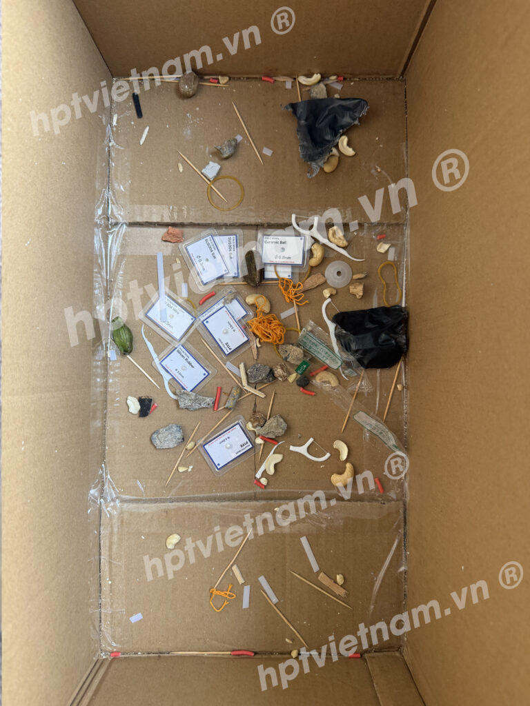 test may xray mtc 6900xpro hptvietnam 2