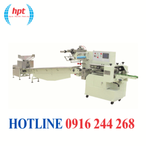 Máy đóng gói xúc xích tiệt trùng BJWD450-120N