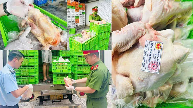 Vấn Nạn An Toàn Thực Phẩm Hiện Nay: Vì Sao Thực Phẩm “Bẩn” Vẫn Lọt Ra Thị Trường?
