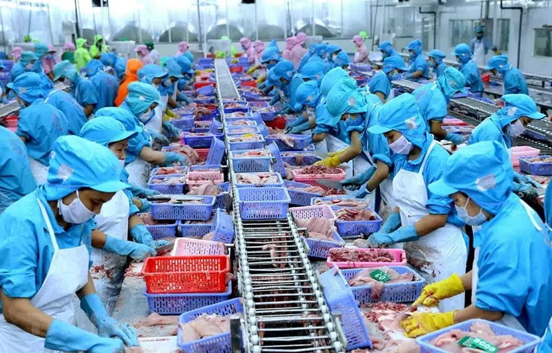 XUẤT KHẨU NĂM 2026: Cảnh báo nguy cơ khiến lô hàng thủy sản bị thu hồi – Những rủi ro đến từ “điểm mù” 9 Những dị vật có khả năng gây ra rủi ro lớn nhất