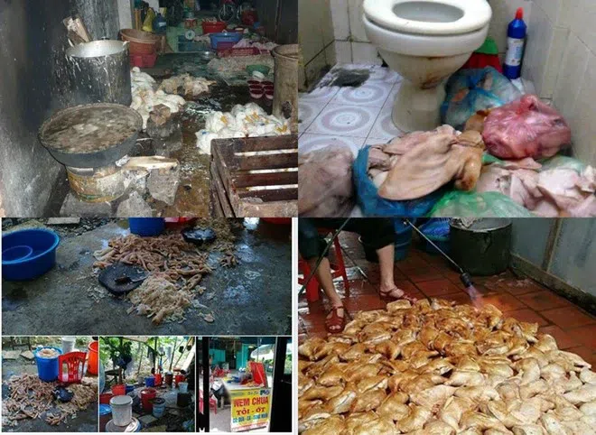 Vấn Nạn An Toàn Thực Phẩm Hiện Nay: Vì Sao Thực Phẩm “Bẩn” Vẫn Lọt Ra Thị Trường? 19 thuc pham ban va tac hai cua no toi suc khoe con nguoi