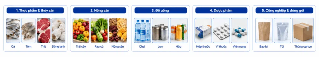 Dư Vài Gram, Mất Cả Tỷ Lợi Nhuận: Thách Thức Định Lượng Của Nhà Máy Và Giải Pháp Cân Phân Loại Tự Động 8 chatgpt image 15 22 36 7 thg 7 2026
