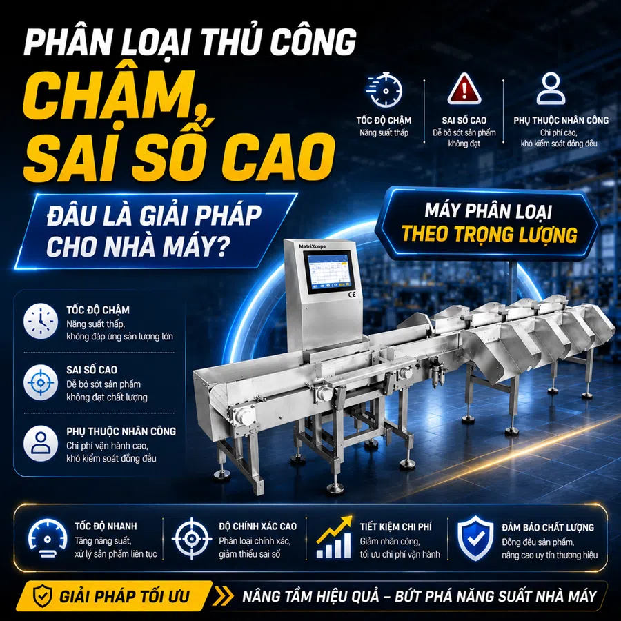 Phân Loại Thủ Công Chậm, Sai Số Cao: Đâu Là Giải Pháp Cho Nhà Máy?