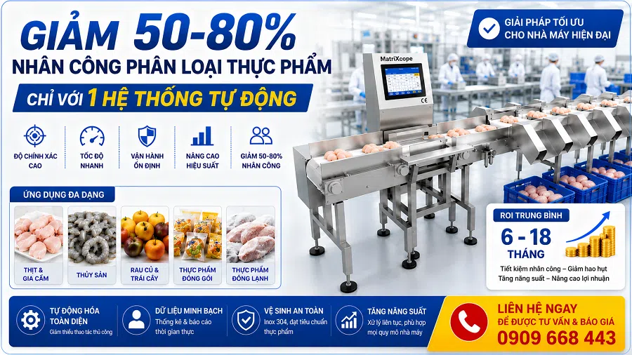 Giải Pháp AI & X-Ray Cho Ngành Thủy Sản Xuất Khẩu 3 giai phap phan loai tu dong hptvietnam 1 1 1